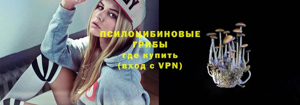 герыч Алзамай