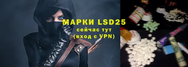 прущие грибы Губаха