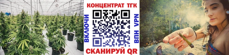 ТГК Wax  Беслан 