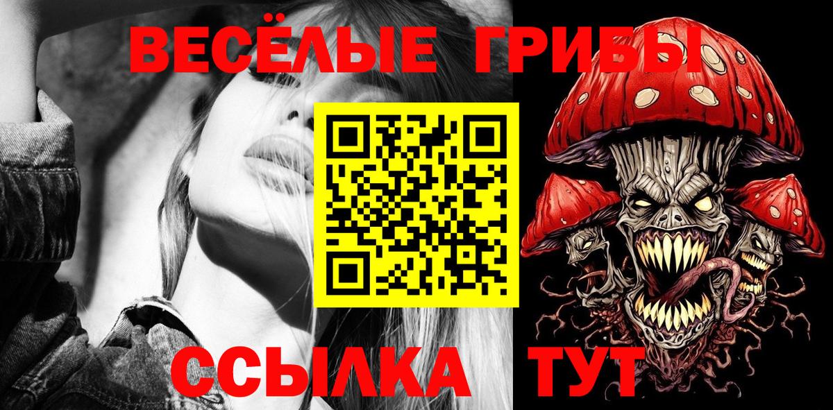 Псилоцибиновые грибы Cubensis Беслан